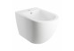 Wall hung bidet, 54x36,5 cm, Omnires Ottawa - White mat