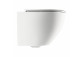 Bezkołnierzowa bowl toilette hanging with soft-close WC seat, 49x37 cm, Omnires Ottawa - White mat 