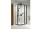 Quadrant shower enclosure Radaway Premium Pro PDD 100x100cm, chrome/ glass transparent