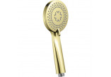 Hand shower, Deante Arnika, 3-functional, gold szczotkowane