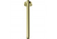 Hand shower, Deante Arnika, 3-functional, gold szczotkowane