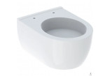 Hanging bowl WC , Geberit iCon, washdown model, short, white