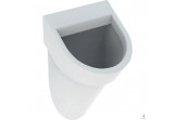 Urinal Geberit Flow,back inlet, drain do tyłu, white