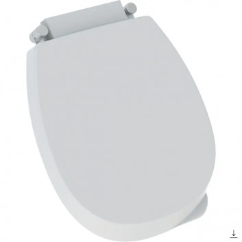 Urinal Geberit Flow,back inlet, drain do tyłu, white