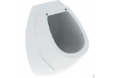 Urinal Geberit Sorso, do pokrywy, back inlet, drain do tyłu, white