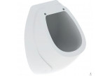 Urinal Geberit Flow,back inlet, drain do tyłu, white