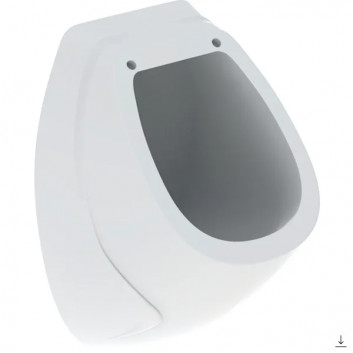 Urinal Geberit Flow,back inlet, drain do tyłu, white