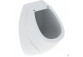 Urinal Geberit Flow,back inlet, drain do tyłu, white