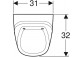 Urinal Geberit Flow,back inlet, drain do tyłu, white