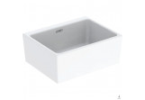 Washbasin multifunction z overflow 50x39cm Geberit Publica Garda, white