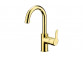 Washbasin faucet tall , Deante Arnika, gold