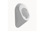 Urinal Flaminia KEY white shine, 29 x 63 x 29 cm- sanitbuy.pl