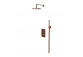 Thermostatic shower set Omnires Contour, concealed, 2 wyjścia wody, gold szczotkowany