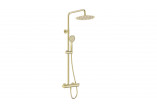 Overhead shower with mixer shower, Deante Arnika, gold szczotkowane