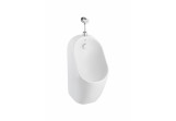 Urinal Roca Proton Rimless (top inlet) - white