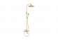 Overhead shower with mixer shower, Deante Temisto, chrome