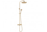 Overhead shower with mixer shower, Deante Temisto, brass