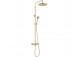 Overhead shower with mixer shower, Deante Temisto, brass