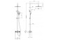 Overhead shower with mixer shower, Deante Temisto, brass