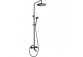 Overhead shower with mixer shower, Deante Temisto, brass