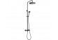 Overhead shower with mixer shower, Deante Temisto, brass