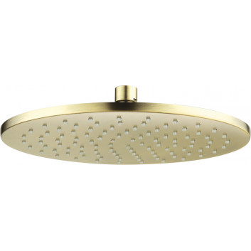 Overhead shower shower steel 250x250mm, Deante Cascada, gold