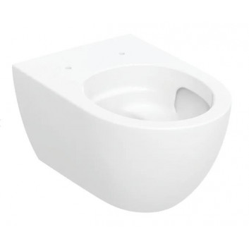 Bowl ustępowa Geberit Acanto hanging 51x35 cm, ukryte mocowania, Rimfree - white