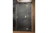 Door shower for recess installation Radaway Premium Plus DWJ 160, uniwersalne, 1575-1615mm, glass fabric, profil chrome