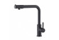 Kitchen faucet Blue Water Eden - black mat