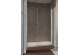 Door shower Radaway Nes KDS II 120, left, 1200x2000mm, silver profil