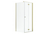 Door shower Radaway Nes Gold KDJ B 100, folding, left, 1000x2000mm - glass transparent, profil gold shine