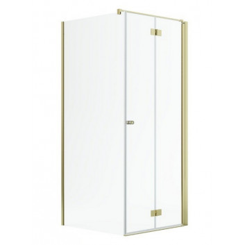 Door shower Radaway Nes Gold KDJ B 100, folding, left, 1000x2000mm - glass transparent, profil gold shine