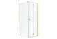 Door shower Radaway Nes Gold KDJ B 100, folding, left, 1000x2000mm - glass transparent, profil gold shine