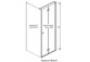 Door shower Radaway Nes Gold KDJ B 100, folding, left, 1000x2000mm - glass transparent, profil gold shine