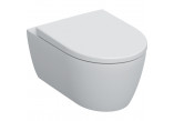 Bowl Geberit iCon washdown model, hanging