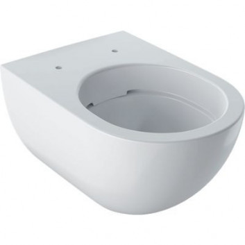 Bowl wc Geberit Acanto hanging 53x35 cm, washdown model, ukryte mocowania, TurboFlush, with coating KeraTect - white