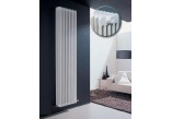 Grzejnik Irsap Tesi 2 60x90 cm - white- sanitbuy.pl