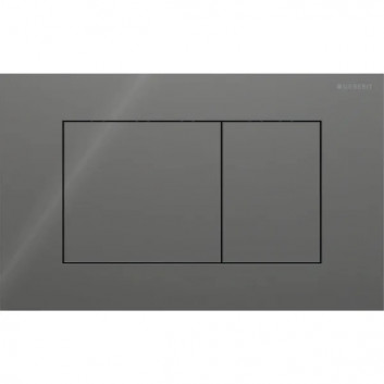 Flush button uruchamiający Geberit Sigma40 do spłukiwania dwudzielnego, rectangular, stainless steel - black mat