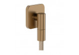 Punktowy shower set Hansgrohe Raindance Alive Select S 125 3jet EcoSmart z tekstylnym wężem Designflex 160 cm - brushed bronze
