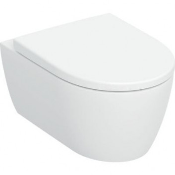 Bowl Geberit Icon washdown model, hanging rimfree, bezrantowa