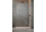 Shower cabin Radaway Essenza Pro 8 Gold Walk-in 120, glass transparent, profil gold