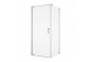 Hinged door 1 hinged with fixed element w linii, SanSwiss Cadura - Silver shine
