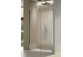 Door shower for recess installation SanSwiss Top-Line S TLS2, rozsuwane, 140cm, right, with fixed panel w linii, shiny silver profile