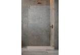 Door shower walk-in Radaway Essenza Pro 8 Gold, 50x200cm, glass transparent, profil gold