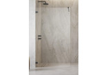 Door shower walk-in Radaway Essenza Pro 8 Gold, 50x200cm, glass transparent, profil gold