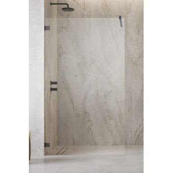 Door shower walk-in Radaway Essenza Pro 8 Gold, 50x200cm, glass transparent, profil gold