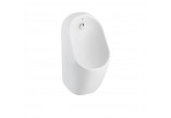 Urinal Roca Proton Rimless (top inlet) - white