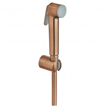 Shower set, Grohe Tempesta-F trigger spray 30 - stainless steel