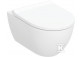 Bowl ustępowa Geberit Acanto hanging 51x35 cm, ukryte mocowania, Rimfree - white