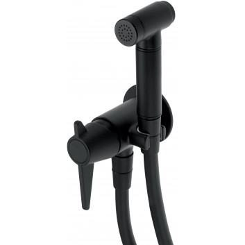 Washbasin faucet concealed, Deante Temisto, nero